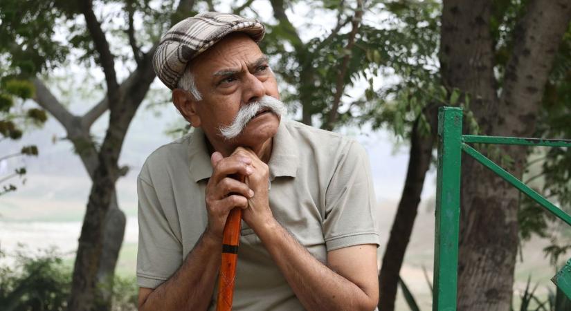 Van, aki látja a szépet – és van, aki lenyírja