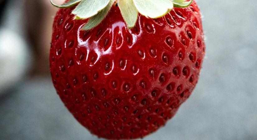 Olyan, hogy finom és olcsó eper, már évek óta nincs – Vagy mégis?