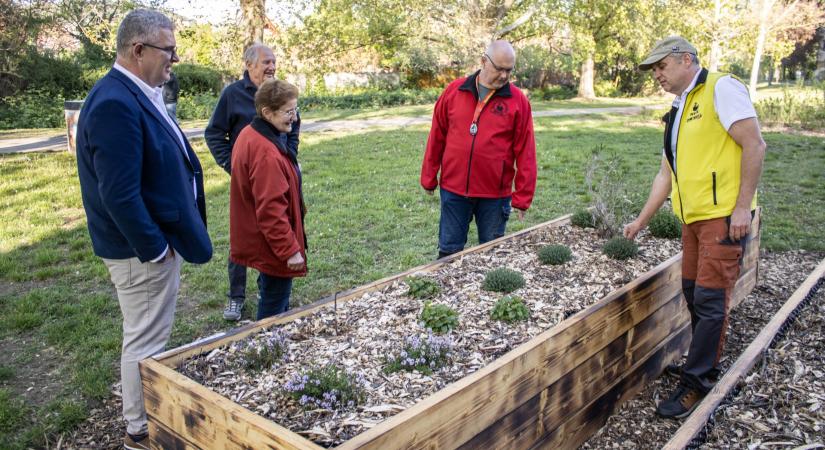 Elkészült az „Ablak a jövőre” közösségi zöldtér Dorogon