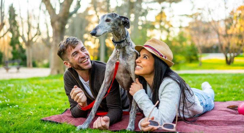 Májusi sorsfordulat: ez a 3 csillagjegy búcsút int a balszerencsének, és meg sem áll a sikerig