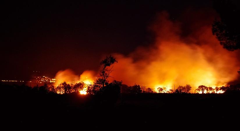 Veszélyben voltak az állatok is: majdnem elérte a lángoló aljnövényzet a telepet
