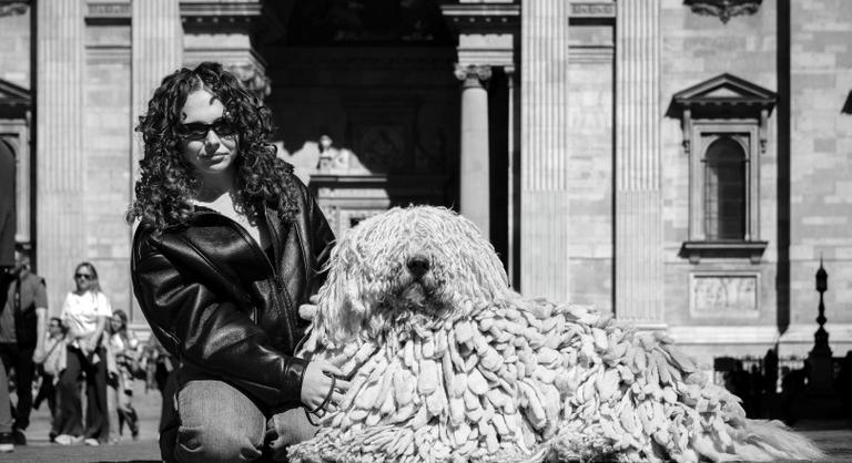 Egy komondor miatt kellett tömeget oszlatni a Bazilika előtt