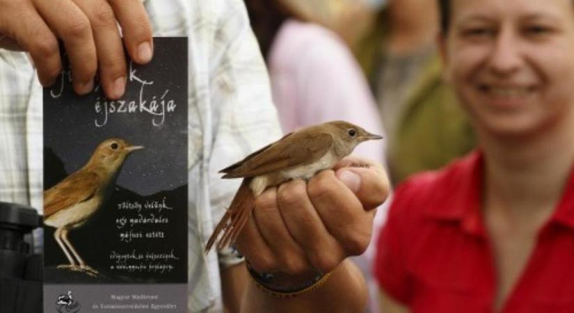 Hajdú-Biharban is hívják a madárbarátokat erre a különleges koncertre