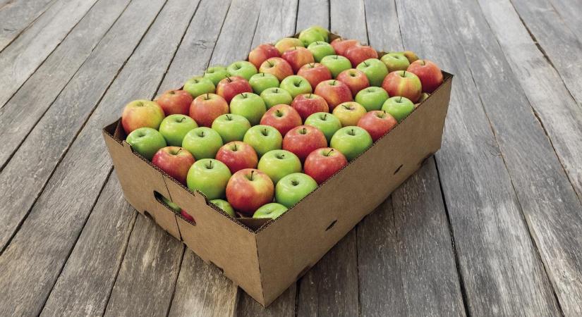 Korszerű válaszok egy változó piacon