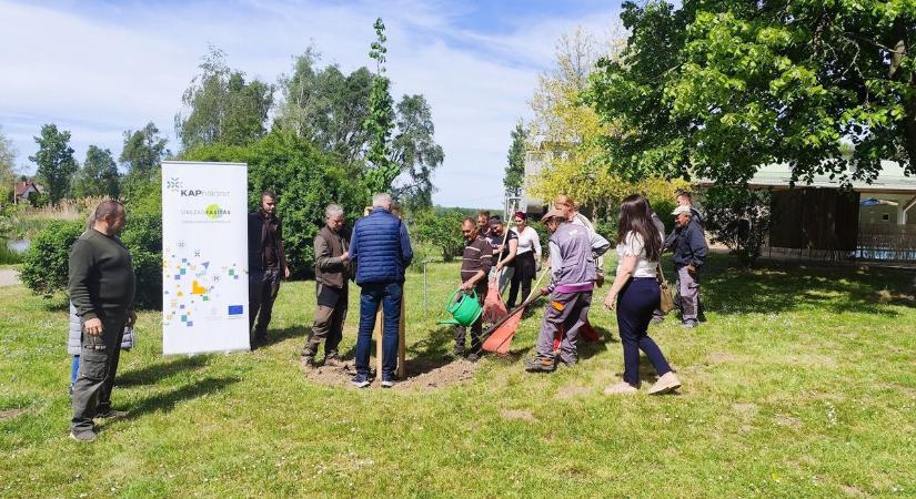 Ismét egy sikeres fásítási program valósult meg ezen a hajdú-bihari településen