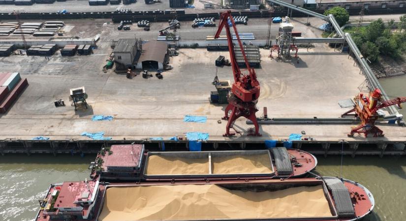 Izrael kijevi nagykövetét bekérették a Külügyminisztériumba a lopott gabona botránya miatt – Szibiha