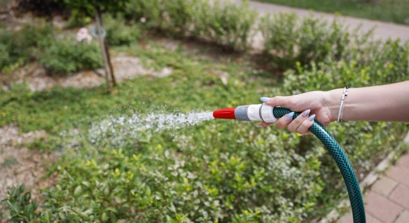 Szeszélyes tavasz, kiszáradó kertek – így óvhatjuk meg növényeinket a csapadékszegény évben