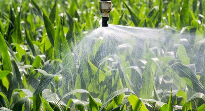 Mi a dolga az Agrárkamarának? Cseh Tibor András így látja