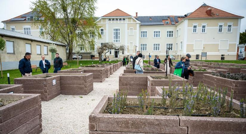 Nemzetközi projekttel erősíti a zöld és digitális átmenetet a Széchenyi Egyetem Albert Kázmér Mosonmagyaróvári Kara