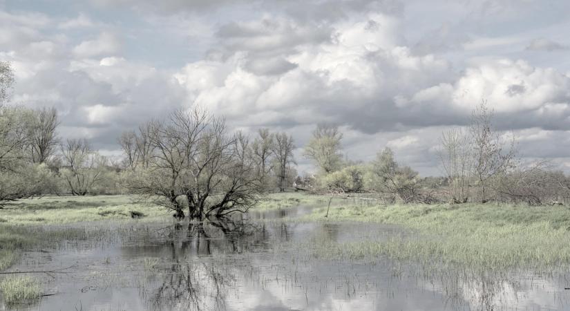 Vízpótlásra használják a tiszaroffi árapasztó tározót