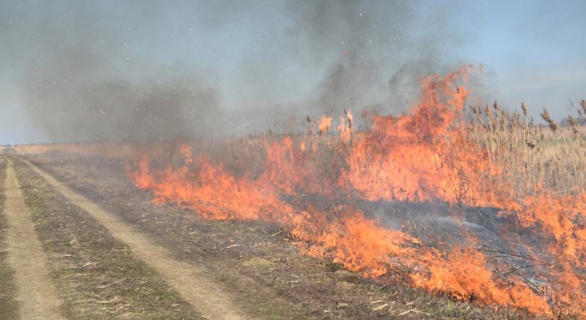 Óriási tűz ütött ki Magyarországon: több hektár lángol