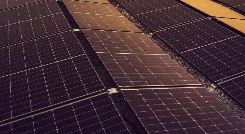 Zadarban tartották az ezévi BOOST4BIOEAST projekt találkozóját