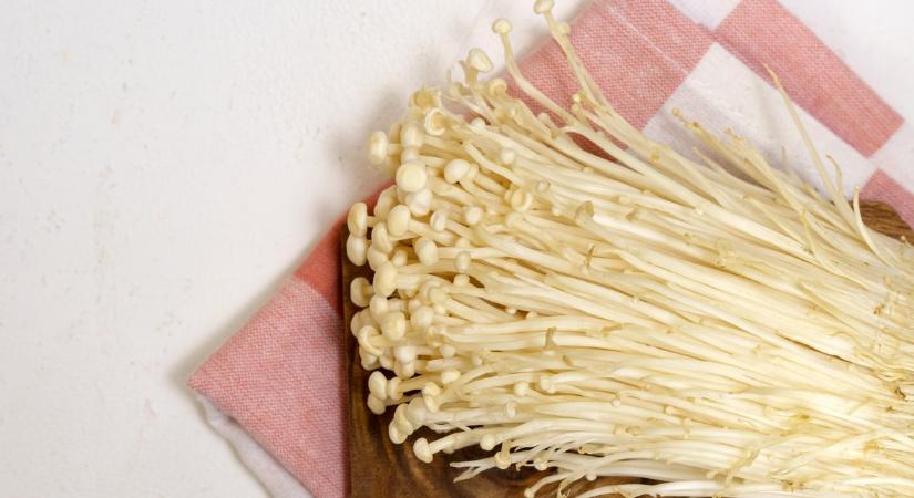 Meg ne egye ezt a gombát, fertőzött volt, visszahívták a polcokról!