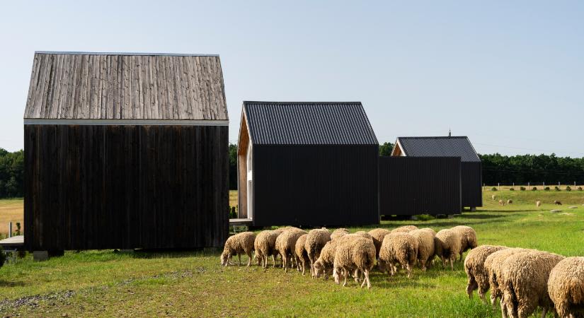 Szabályok, amiket figyelembe kell venni egy mezőgazdasági épület építésénél