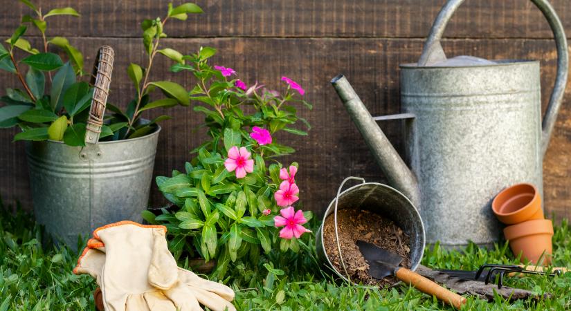 Praktikus és szép is? Ilyen egy igazán tudatos kert