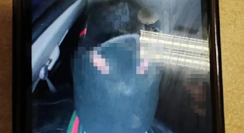 Összehangolt műveletben rabolt a símaszkos bűnbanda