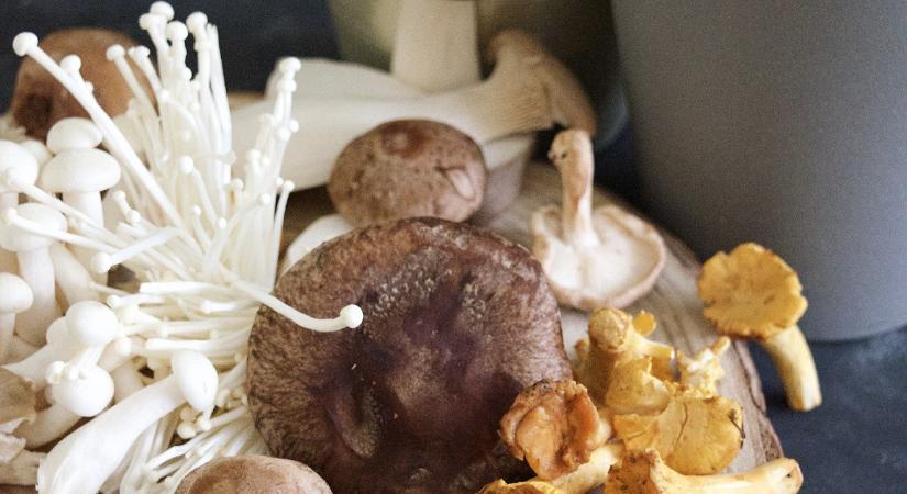 Hűtött gombát hívnak vissza a boltokból – figyeljen, aki ilyet vett!