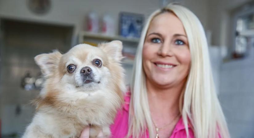 Még mindig erre vár a pereskedő Miló Viki