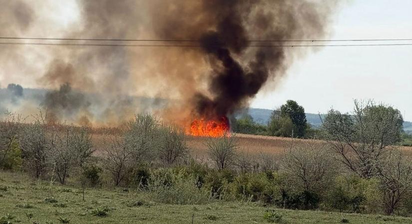 Egyre nagyobb a baj: több mint 20 hektáron ég a nádas Ősi és Nádasdladány között (helyszíni fotók)