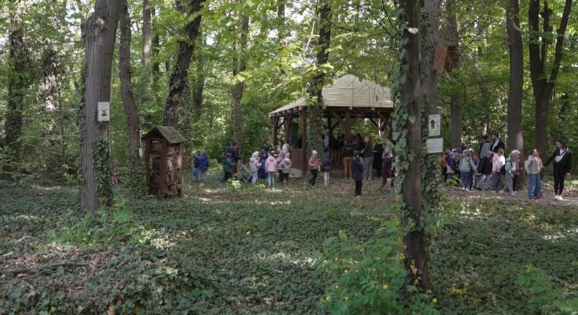 Repül az idő: tízéves a Debreceni Egyetem madárbarát kertje