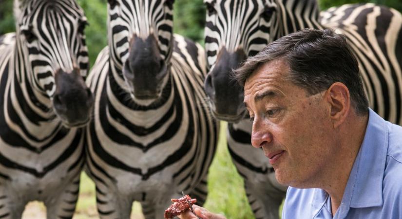 Mészáros, Andika és a nyolcas kulcs – Dési János jegyzete