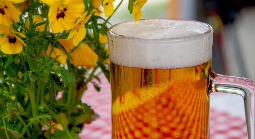 Elképesztő trend: eláruljuk, mi kerül a legújabb sörökbe a komló mellé