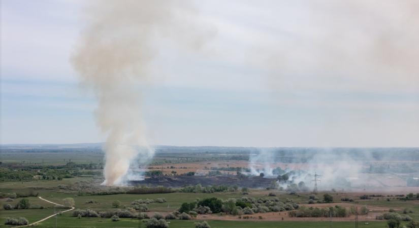 Hatalmas tűz Várpalotánál, a Balatontól is riasztottak tűzoltókat – képek
