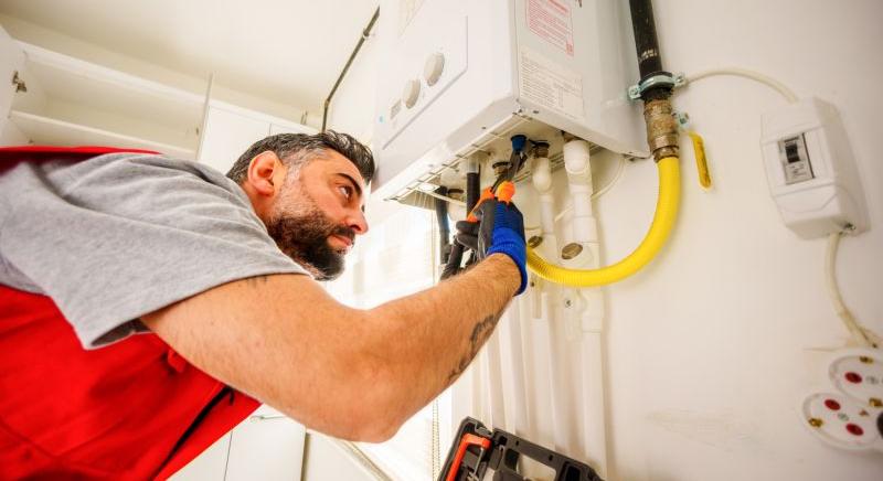 Kész, vége: mennek a levesbe a cirkók