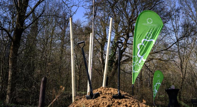 Több milliárd forintot osztott szét a Szerencsejáték Zrt. a választások előtt, a határon túlra is bőven jutott