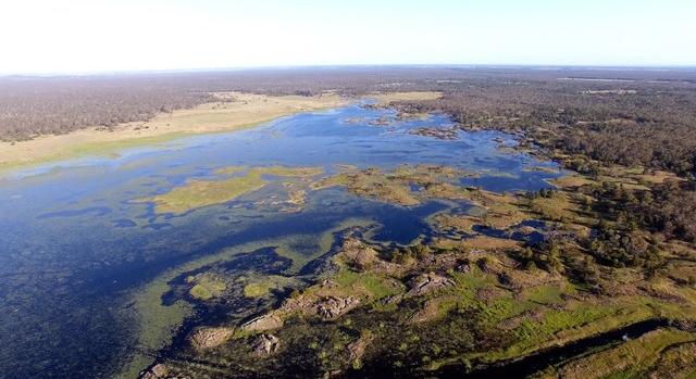 Ősi angolnacsapdákkal írják újra Ausztrália történetét