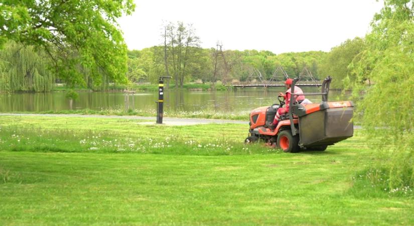 Folyamatosan dolgoznak a város közterületein