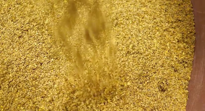 Hihetetlen, mire képes: ez az egyszerű mag igazi szuperélelmiszer!