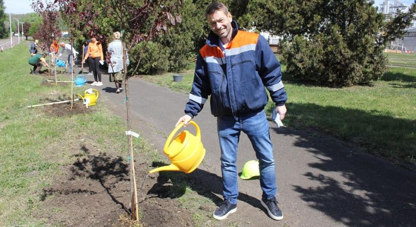 Különös fotók jelentek meg a frissen ültetett facsemetéknél a Mátrai Erőműnél