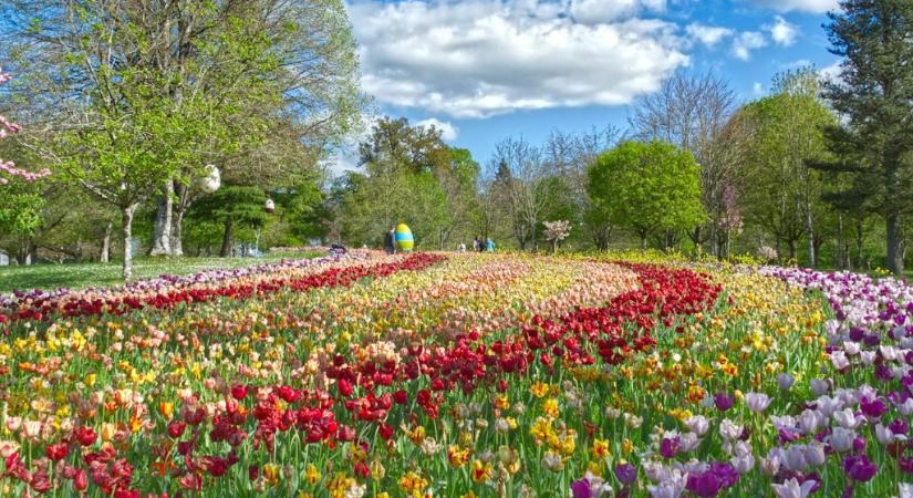 Jönnek a fagyosszentek: eddig érdemes óvatosnak lenni a kertben