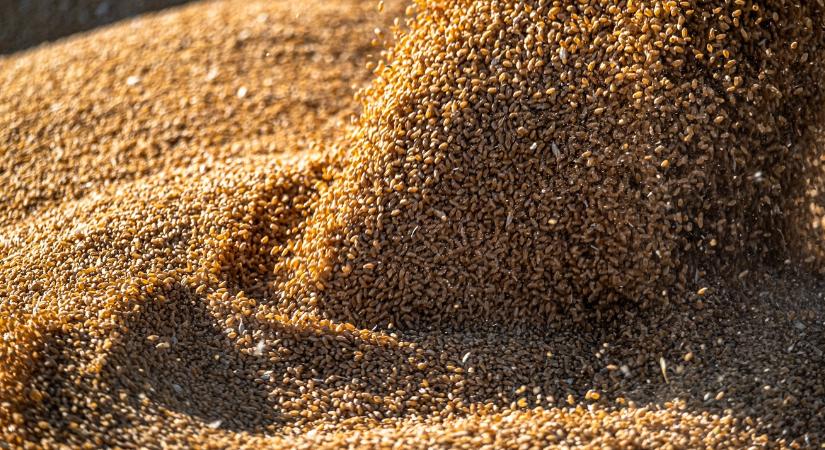 Az USA-ban már elindult az, amire minden magyar gazda vár