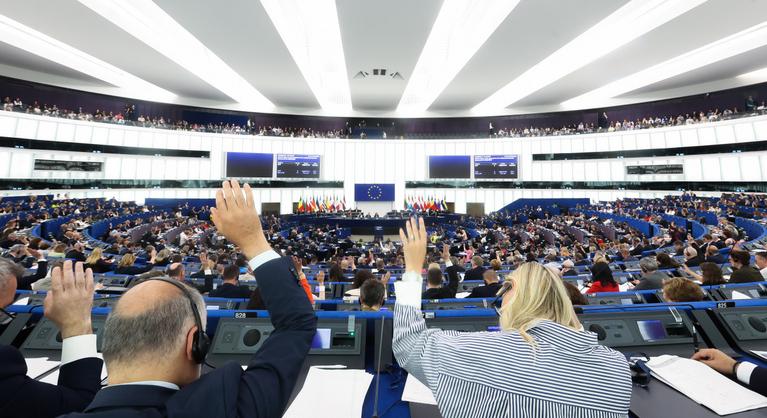 Döntött az Európai Parlament, azt szeretné, hogy a tagállamok mélyebbre nyúljanak a zsebükbe