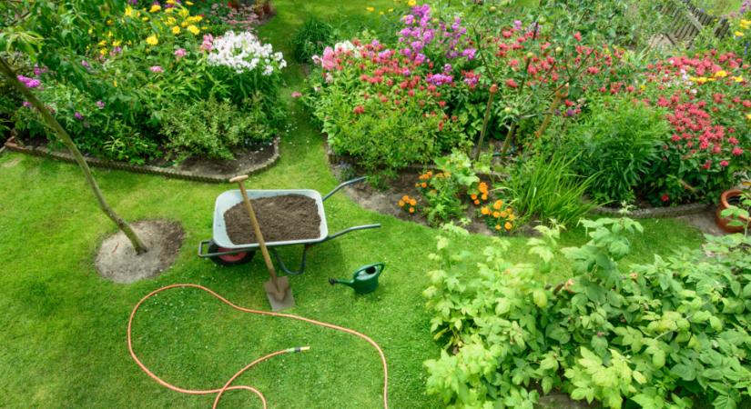 Vadvirágos rét otthon: így csalogassunk életet a kertbe