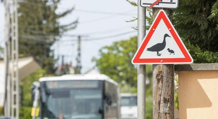 Nem véletlen került ki ez a tábla Fehérváron – jobb, ha figyelsz!