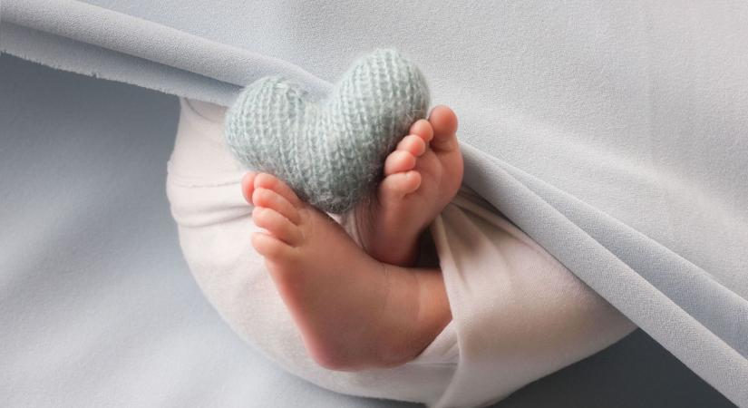 Kecskeméti anyakönyvi hírek, 16. hét