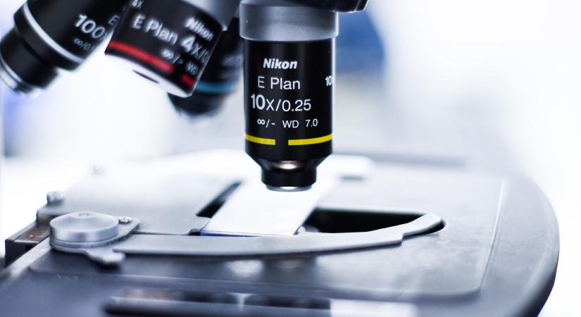 Nem találtak határértéket meghaladó szermaradékot