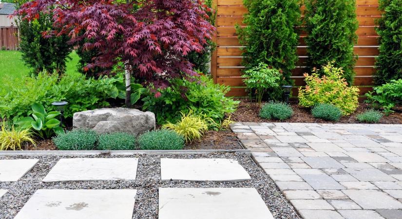 Hódítanak az alternatív pázsitmegoldások Magyarországon – erre váltanak a legtöbben