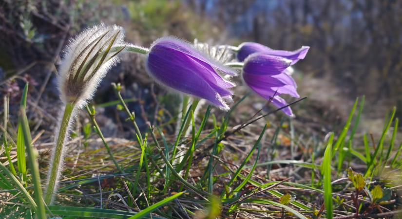 Csodaszép idővel érkezik meg a május: mutatjuk, milyen idő lesz a hosszú hétvégén