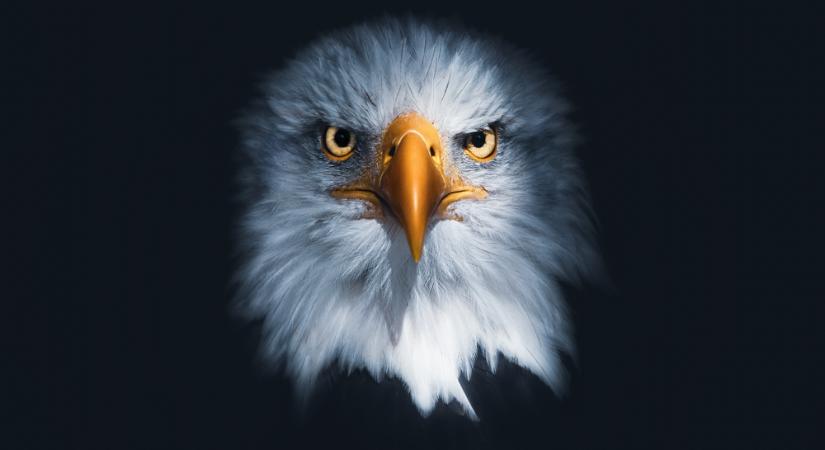 Az Egyesült Államokban emelkedett a munkahelyek száma