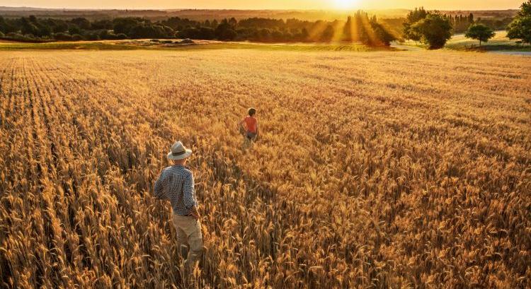 Nem a tudás hiánya fogja vissza a gazdát