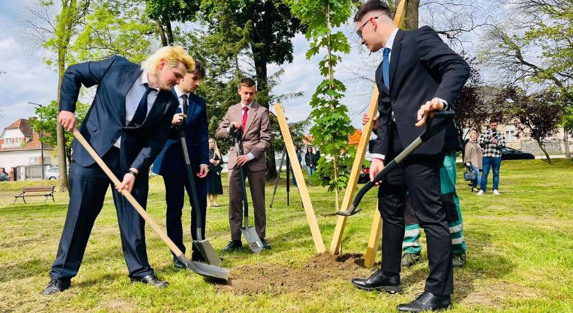 Búcsú és kezdet egy helyen, a ligetben – elültették a végzősök fáját (videó)