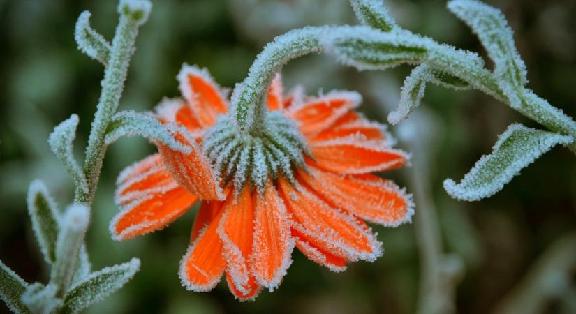 Lehűlés jön, visszatérnek a fagyok
