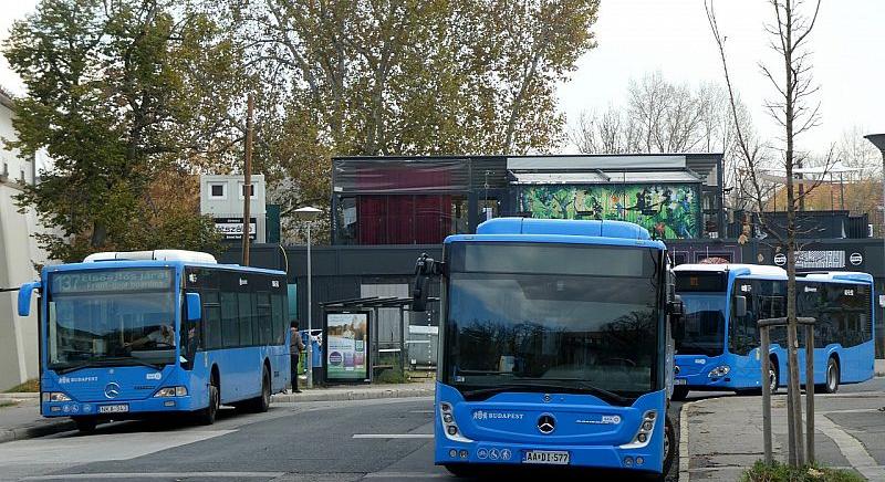 A beteg életben tartása a kihívás a BKV gumikerekű ágazatánál is