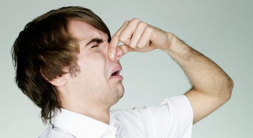 Miért van ilyen büdös? Utunkat kísérte az orrfacsaró szag