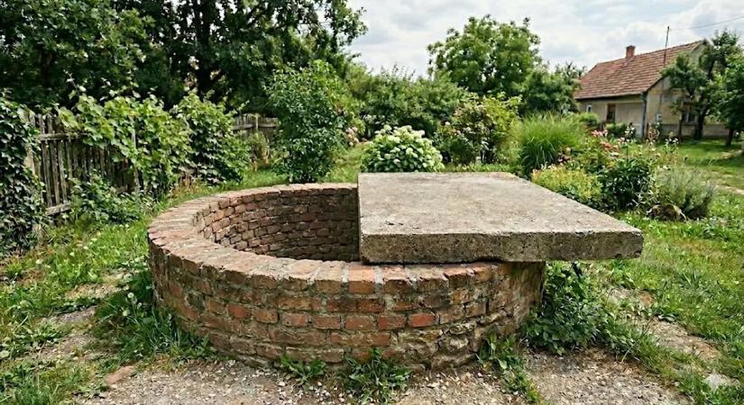 Kútba rejtette áldozatát a Tolna vármegyei gyilkos – videón a helyszínelés