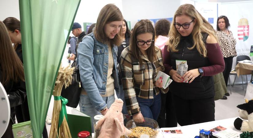 A török üveggyár is bemutatkozott a MATE kaposvári karriernapján